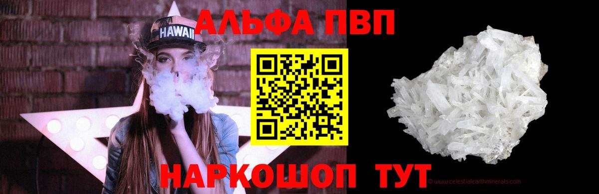 Альфа ПВП СК КРИС Шахты