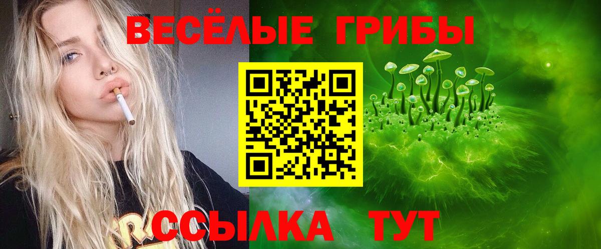 Шахты  Галлюциногенные грибы ЛСД  Вход с VPN 