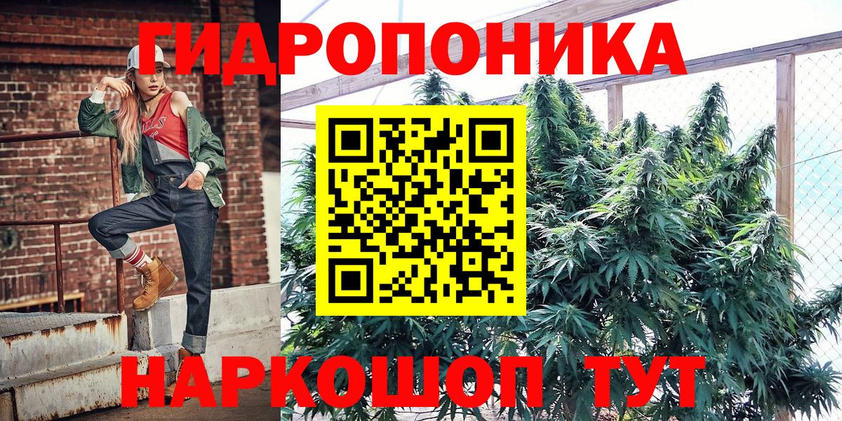 Бошки марихуана марихуана Шахты